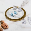 Philip Jones Sterling Silver Aquamarine Drop Earrings Created with Zircondia®