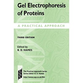 Gel Electrophoresis of Proteins: A Practical Approach (Practical Approach Series (197))