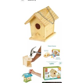 TOYSMITH Build Decorate Hang Wooden Bird Bungalo House With Paint Diy Kit
