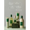 AROMATICA Rosemary Scalp Scaling Shampoo and Conditioner Set 13.53 fl.oz