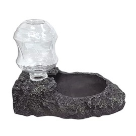 Vivaria Bottle Dish Black Reptile Amphibian