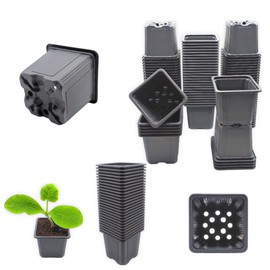 Verdonia 40 x 8cm Plastic Pots for Sowing, Transplanting, Cuttings, Reusable and Durable - Practical Pots with Drainage Holes - Plastic Pot for Growing Young Plants
