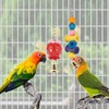 Bird Parakeet Toys,11 Pcs Swing Hanging Standing Chewing Toy Hammock