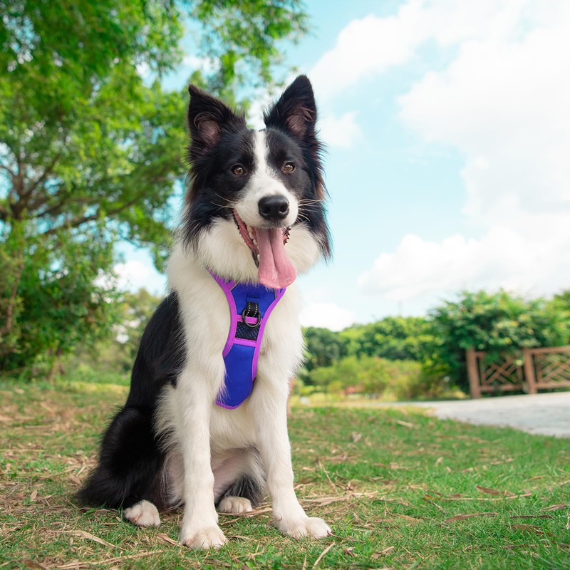 PHOEPET Upgraded No Pull Dog Harness, Reflective Adjustable Vest, with