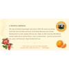 Celestial Seasonings Tangerine Orange Zinger Tea, 20 ct