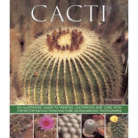 Cacti