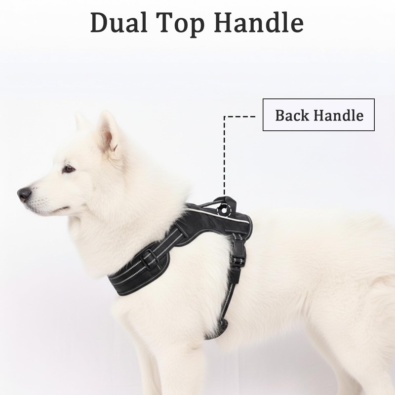 Light Up Dog Harness for Medium/Large Dogs