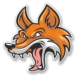 2 x 10cm Fox Vinyl Sticker Decal Bike Laptop Car Animal Ginger Wolf Dog #6000 (10cm x 10cm)