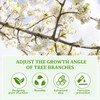 NYZQIW Pack of 30 Branch Pullers for Fruit Trees, Branch