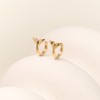 [Exclusive] Gold & Deer 14K Goldfield Whale Tail One-Touch Ring