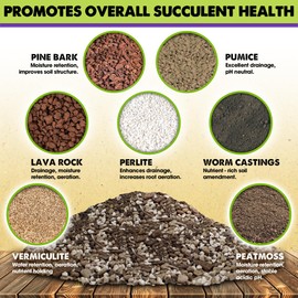 DUSPRO Succulents Soil Potting Mix – 7 in 1 Ingredients Well-Draining, Nutrient-Rich Cactus Potting Soil for Succulents and Cacti, Indoor & Outdoor Use, Ready to Use, Supports Healthy Root Growth, 8QT