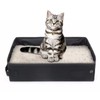 Normal Cat Litter Box for Multiple Cats