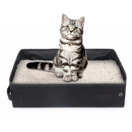 Normal Cat Litter Box for Multiple Cats