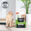 WORLD'S BEST CAT LITTER Comfort Care Unscented, 32-Pounds - Natural