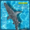 Home Dinosaurio Para Niños Mosasaurus Diving Toys Rc Boat