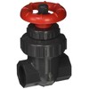 Spears 2022-007 PVC Schedule 80 Gate Valves