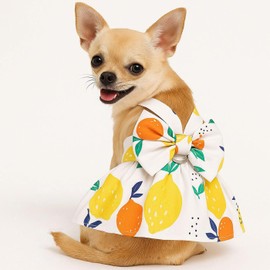 Small Dog Harness Dress Bow Female Dog Clothes Print Flower Girl Dog Harness Dresses Puppy Outfits with Leash Set Summer Cat Princess Pet Dresses, Lemon M