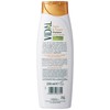 Vidal Shampoo 250 ml Argan