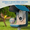 ZIRKOZIR Metal Suet Ball Holder for Bird Buddy Smart Feeders