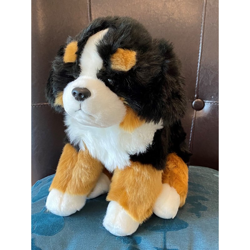 Bernese Puppy Companion