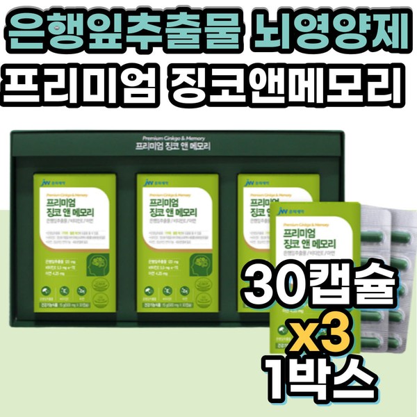 GINKGO Memory Brain Nutrients Ginkgo Memory Ginkgo Leaf Extract Vitamin