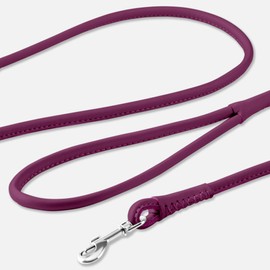 CollarDirect Rolled Leather Dog Leash 6ft, Soft Training Leather Dog Leash for Puppy and Grown Dog Small Medium Large Black Blue Red Orange Green Pink White (Pink, Size XL 6ft)