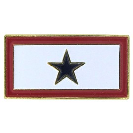 US Flag Store Service Blue Star Flag Lapel Pin