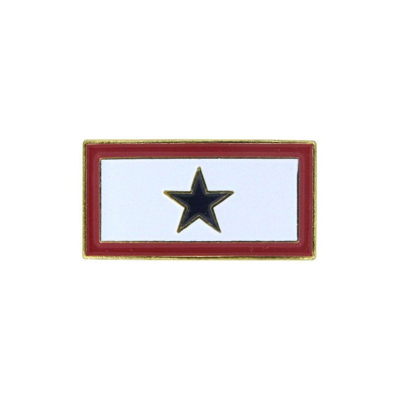 US Flag Store Service Blue Star Flag Lapel Pin