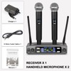 Depusheng Wireless Microphone System, VHF Fixed Dual Frequency Wireless Set