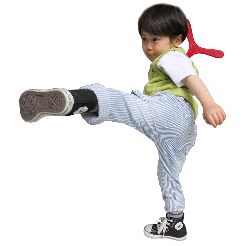 LANGS Indoor Boomerang Blue