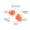 ZENZEI | IMMUNE SUPPORT | 60 Gomitas 100% Veganas —