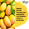 Vegs Mango Juice Powder - Freeze Dried Organic Mango Juice