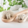 Asakusa Art Brush, Hakuba Hair Body Brush "Sakura" Long &