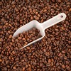 18 Pcs Candy Scoops for Candy Buffet, Mini Ice Cream