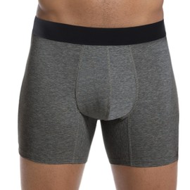 IRISMORII Adult Incontinence Underwear for Men Reusable Leak Proof Bladder Control Protection Briefs Trunk 1 Pack (Dark Gray, L)