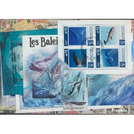Prophila Collection Designs 25 Different Whales Brands (Collector's Stamps) Water Animals