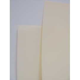 10 x Parchment Vellum Extra Heavyweight A4 220gsm in White or Cream- Cardmaking (White)