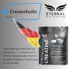 ETERNAL NUTRITION Creatina Monohidratada Micronizada + NAD+ 5 g (550
