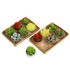 SSleng 12pcs Cactus Tealight Candles, Handmade Delicate Succulent Cactus Candles