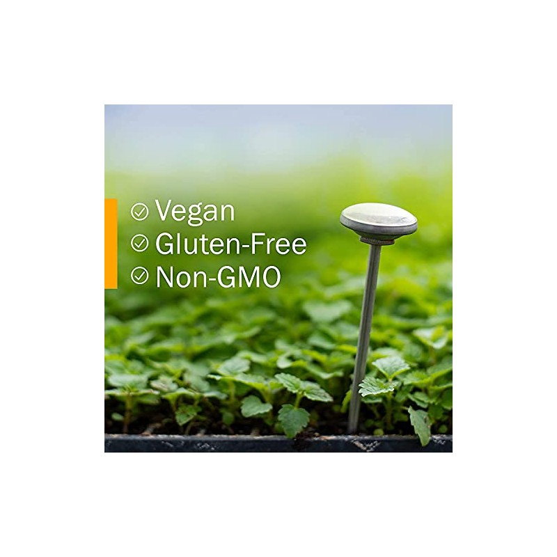 Herb Pharm Red Root Liquid Extract for Cleansing and Detoxifying