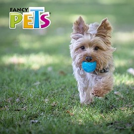 Fancy Pets Juguete Pelota Prisma para Perro con SonidoTamaño Chico