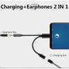 ISTARCOMPUTER Audio and Charging Adapter 2-in-1 | USB C to