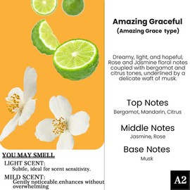 2 Pack Pick 80+Scents Car Air Freshener Hanging Car Diffuser Made in USA Last for 120 Days:_A63-Amber Plum & Vanilla Woods