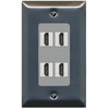 RiteAV - 4 Port HDMI 2.0 Decorative Wall Plate - 1 Gang [Stainless/Gray]