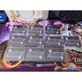 WWE Titans Of The Ring Custom Card Set Ric Flair Base T-09