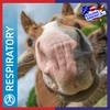 Equine America Airways Xtra Strength Premium Ready To Use Horse