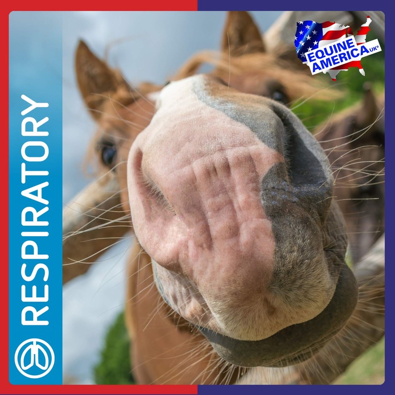 Equine America Airways Xtra Strength Premium Ready To Use Horse