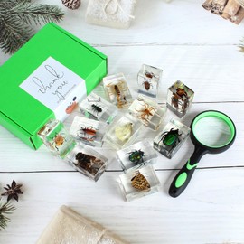 12 Pcs Insect Resin Specimen, Bugs in Resin Butterfly Specimen Kit Collection Science Biology Class Specimen for Friends Gift Home Decoration