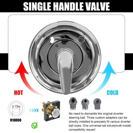 Ryutain Shower Trim Kit for Delta Single-Function Trim Kits, Stainless Steel Shower Handle, Compatible with Delta Shower Valve R10000 Series (Valve Cartridge Not Included)