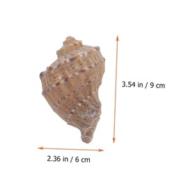 Kisangel Hermit Crab Shell Decor Set Natural Small Aquarium Shells for Fish Tank Decoration